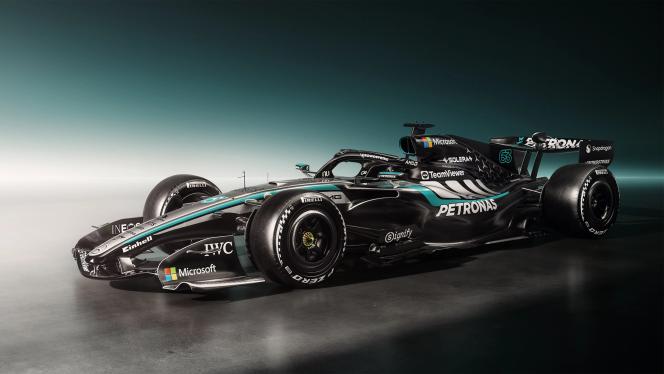 Der Mercedes-AMG F1 W17 E PERFORMANCE von der Seite.